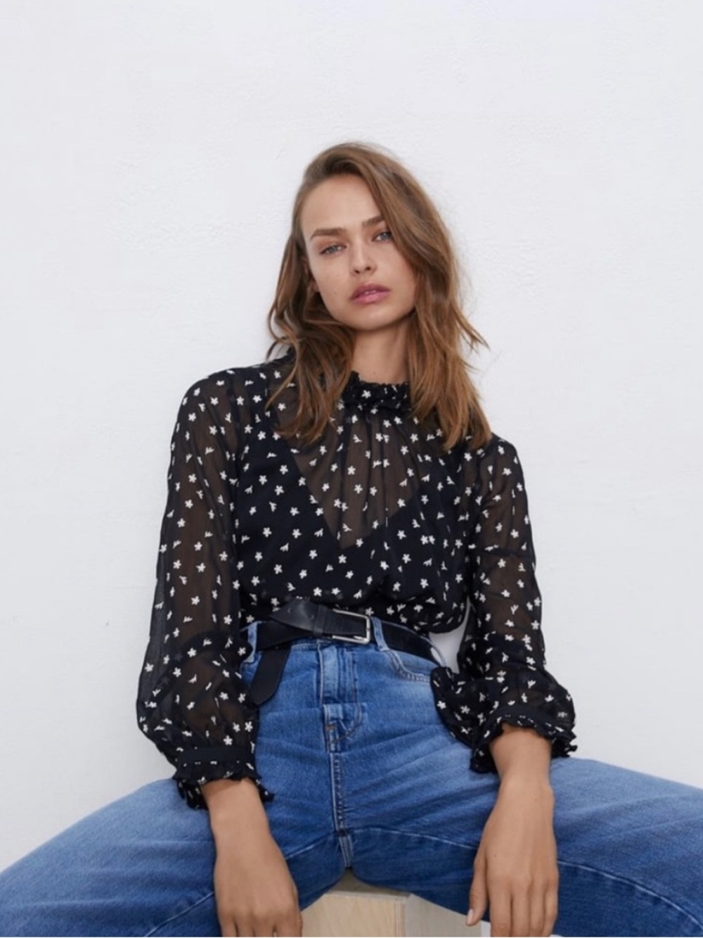 Zara sheer black embroidered blouse